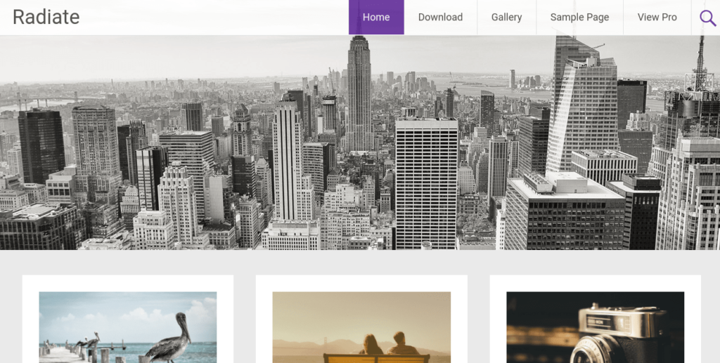 Blog WordPress Themes