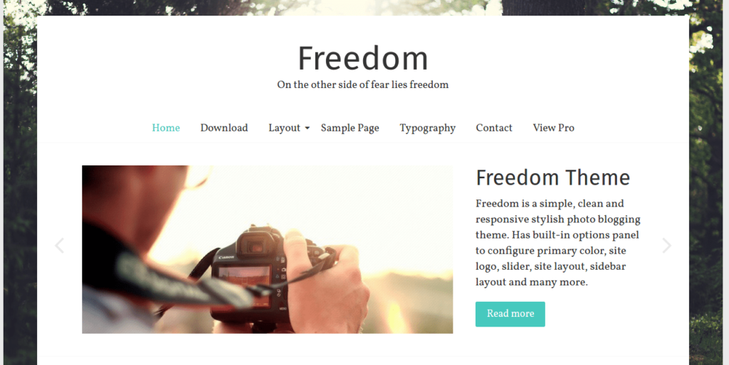 Blog WordPress Themes