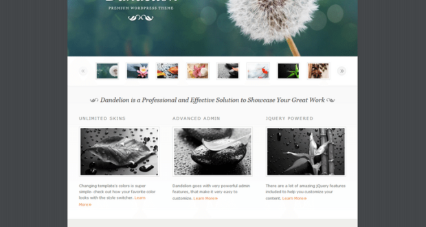 WordPress Themes