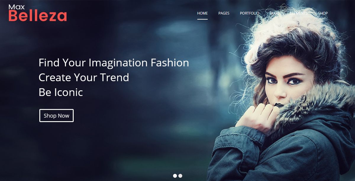 WordPress Themes