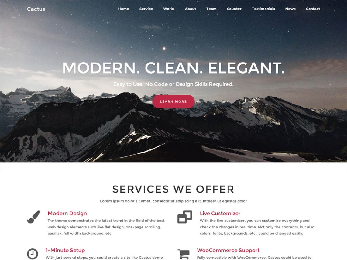 WordPress Themes