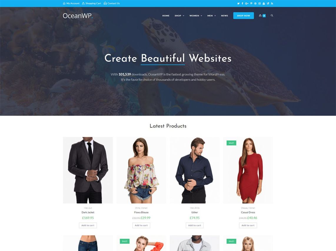 Premium Responsive WordPress Themes