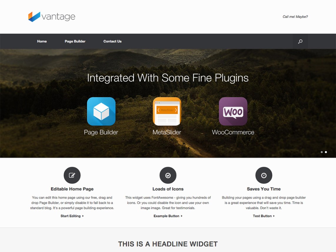 Premium WordPress Themes