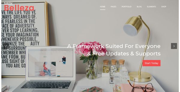 WordPress Themes