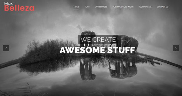 WordPress Themes