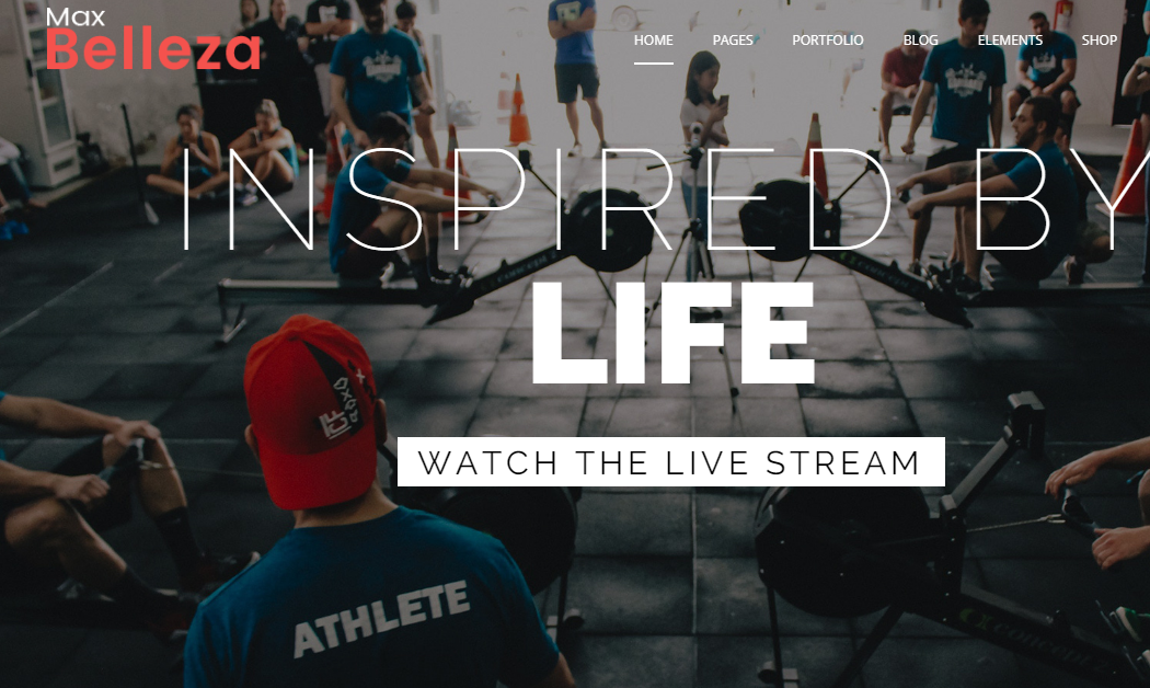 Sports WordPress Themes