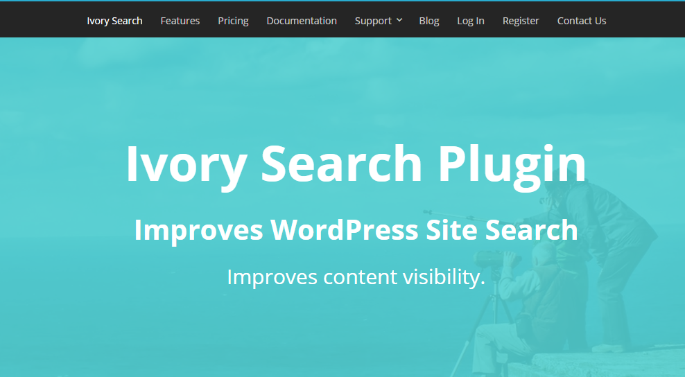 Search Plugins for WordPress
