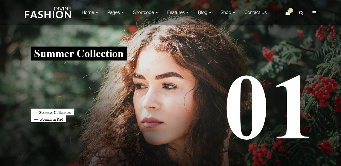 Divine Pro fashion 3 HTML Template