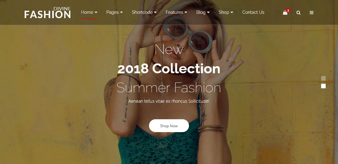 Divine Pro fashion STORE HTML Template