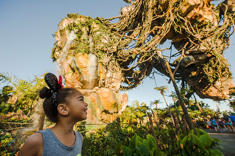 Disney World, FL